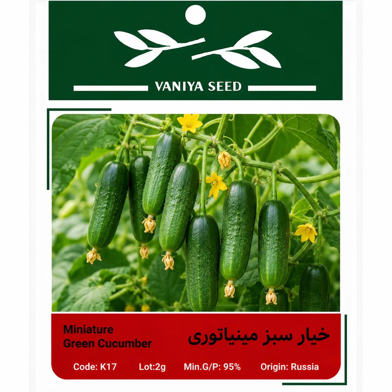 بذر خیار سبز مینیاتوری وانیا