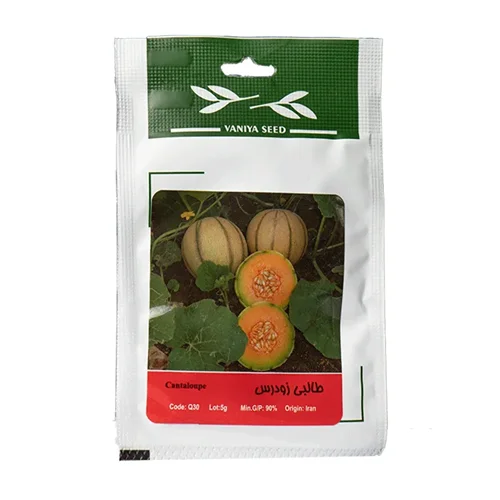 بذر طالبی زودرس وانیا