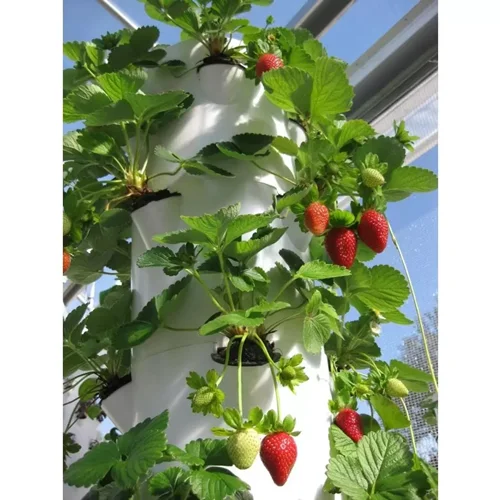 سیستم هیدروپونیک 40 گلدان ایستاده | Hydroponic Agricultural Tower System - 40 Plants