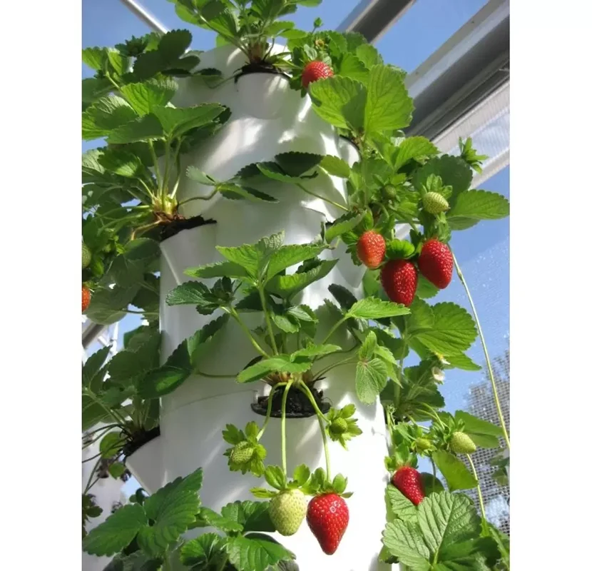 سیستم هیدروپونیک ایستاده 40 گلدان | Hydroponic Agricultural Tower System - 40 Plants