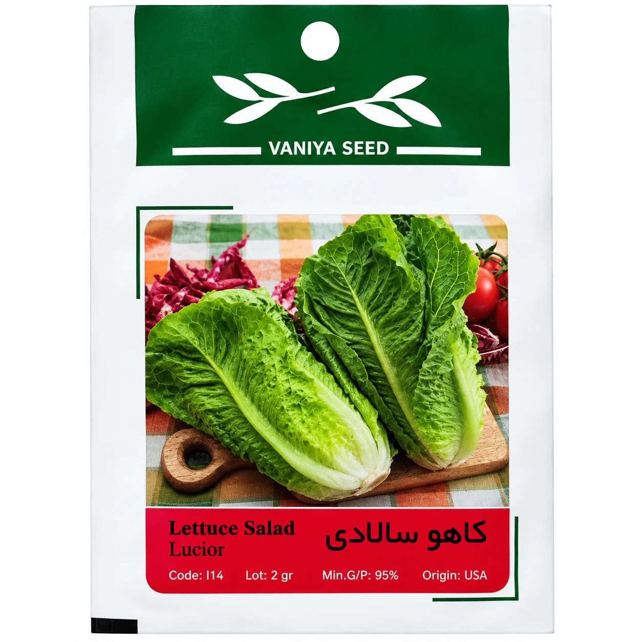 بذر کاهو سالادی وانیا