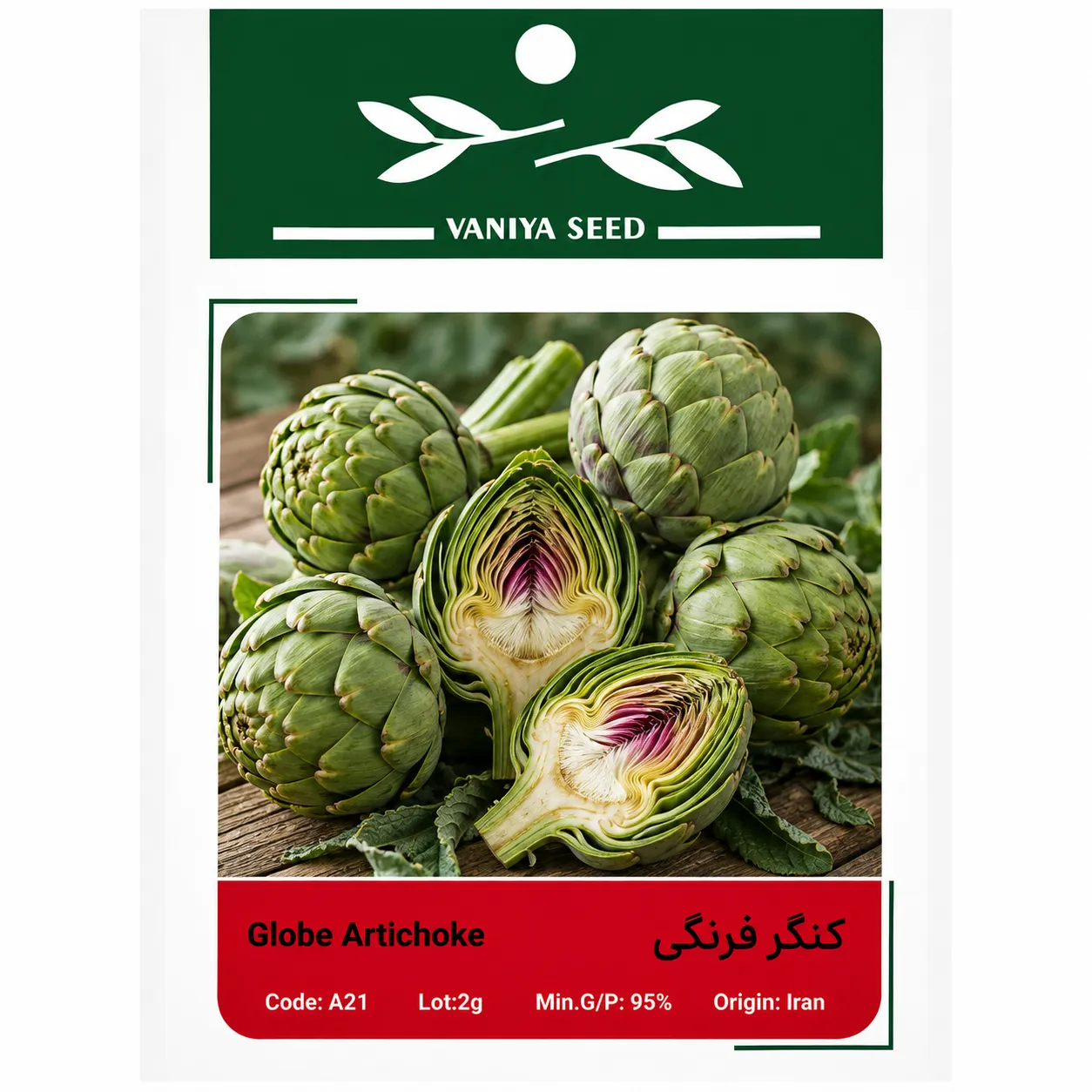 بذر کنگر فرنگی وانیا