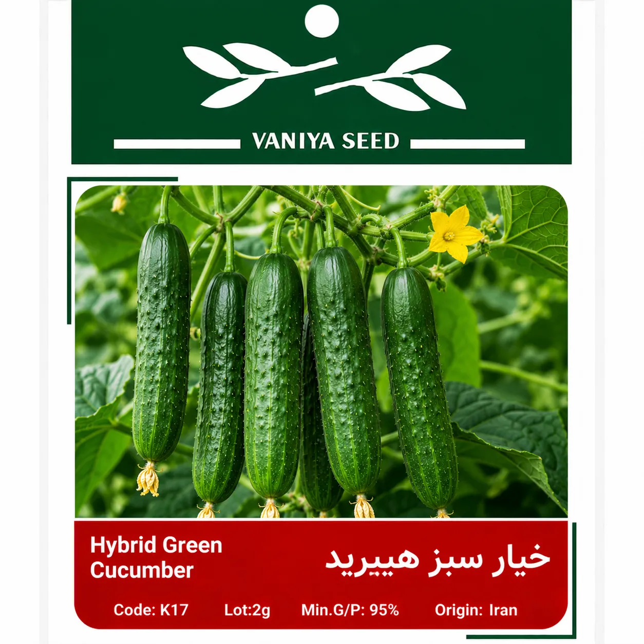 بذر خیار سبز هیبرید وانیا