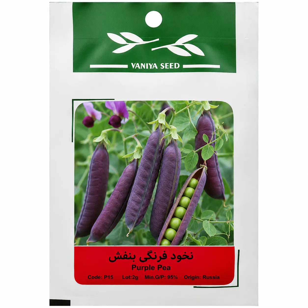 بذر نخود فرنگی بنفش وانیا