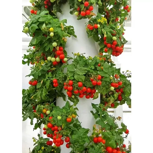 سیستم هیدروپونیک ایستاده 20 گلدان | Hydroponic Agricultural Tower System - 20 Plants