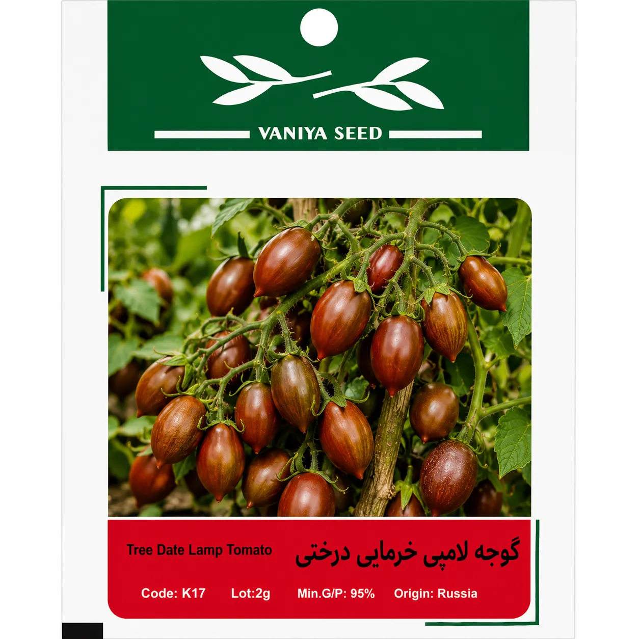 بذر گوجه لامپی خرمایی درختی وانیا