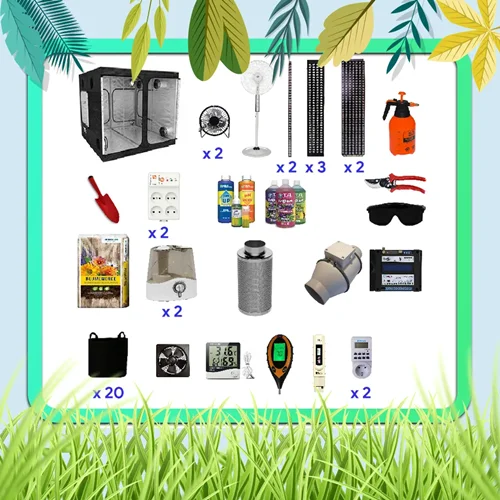 پکیج کاشت تا برداشت 20 گلدان