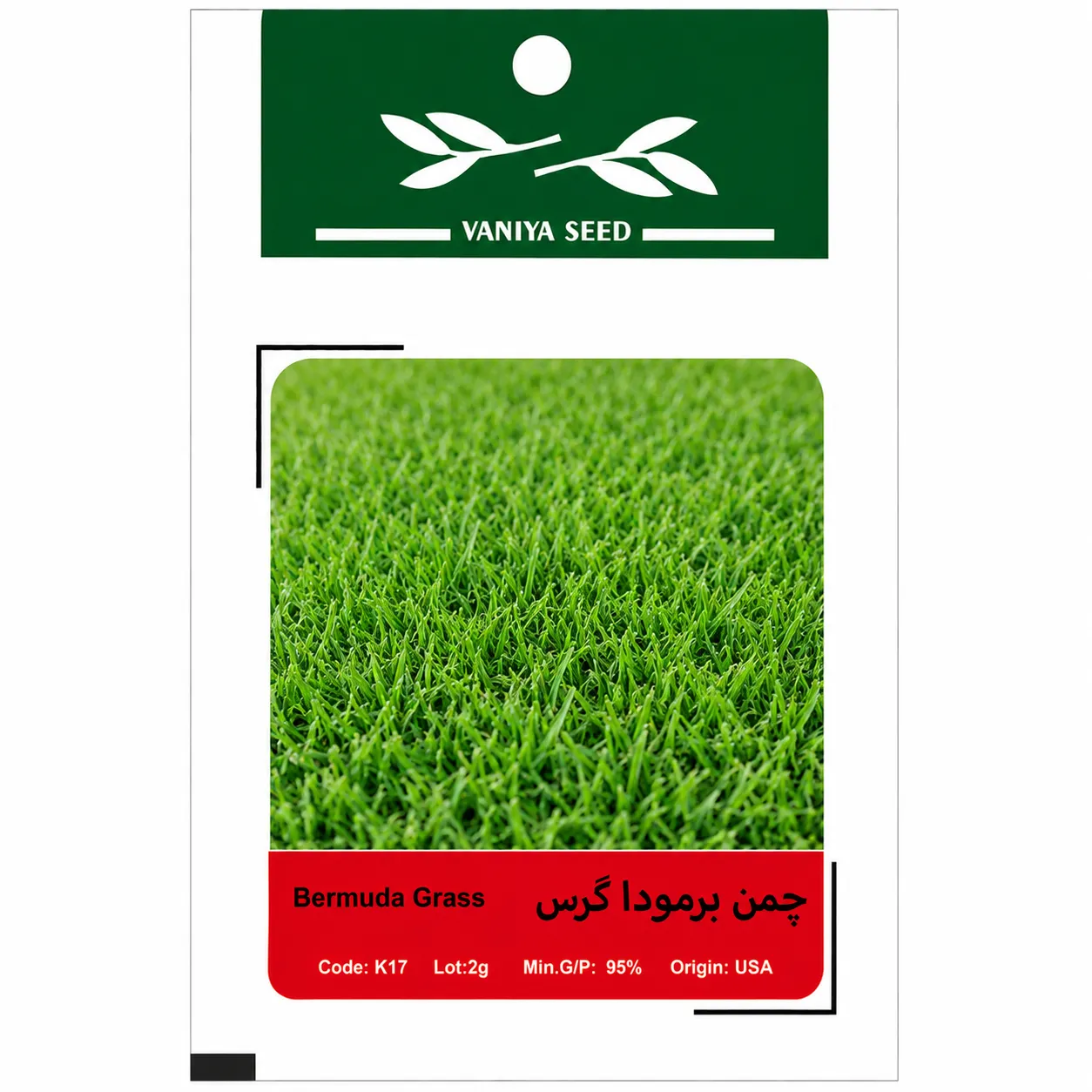 بذر چمن برمودا گرس وانیا