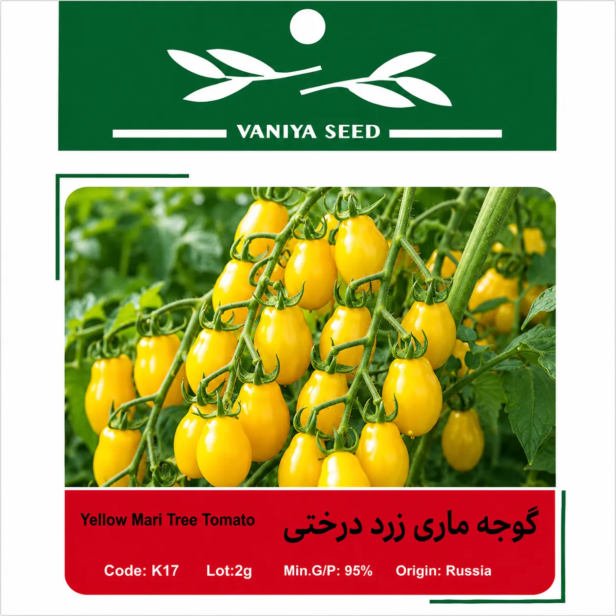 بذر گوجه ماری زرد درختی وانیا