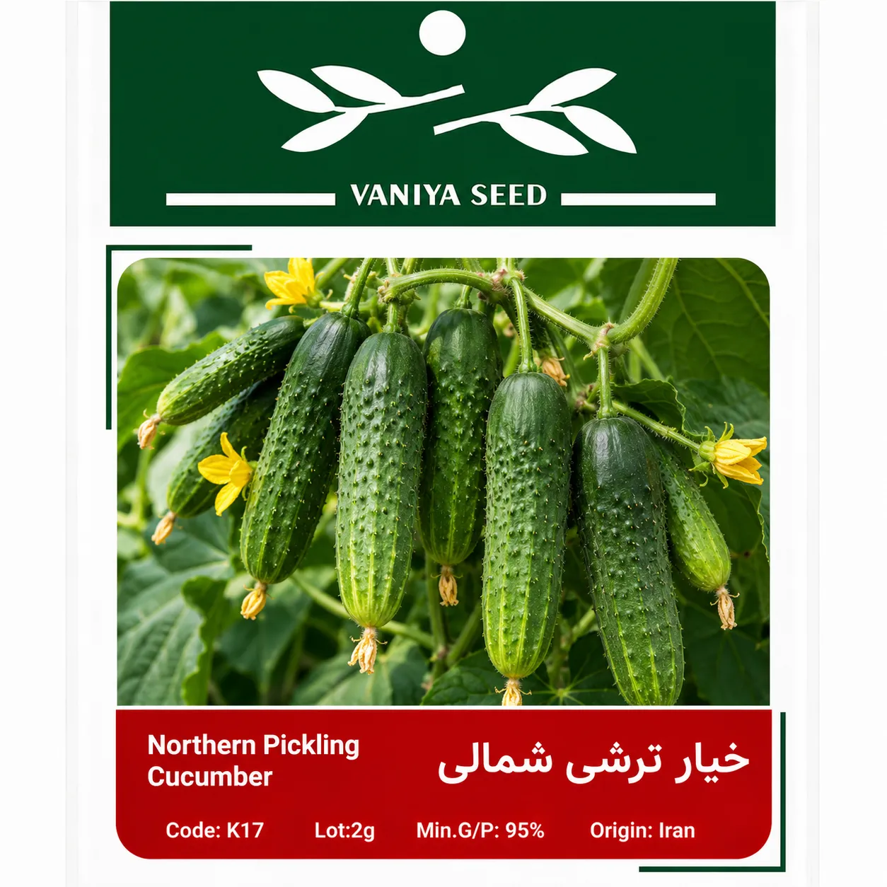 بذر خیار ترشی شمالی وانیا