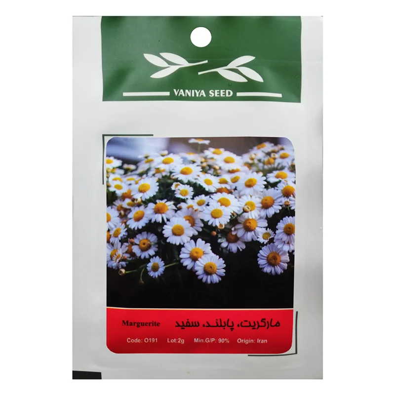 بذر گل مارگاریت پابلند سفید وانیا