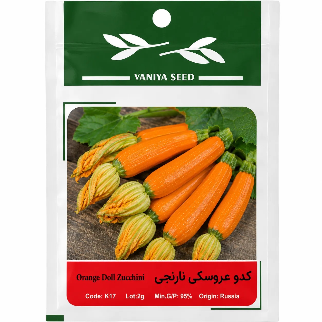 بذر کدو عروسکی نارنجی وانیا