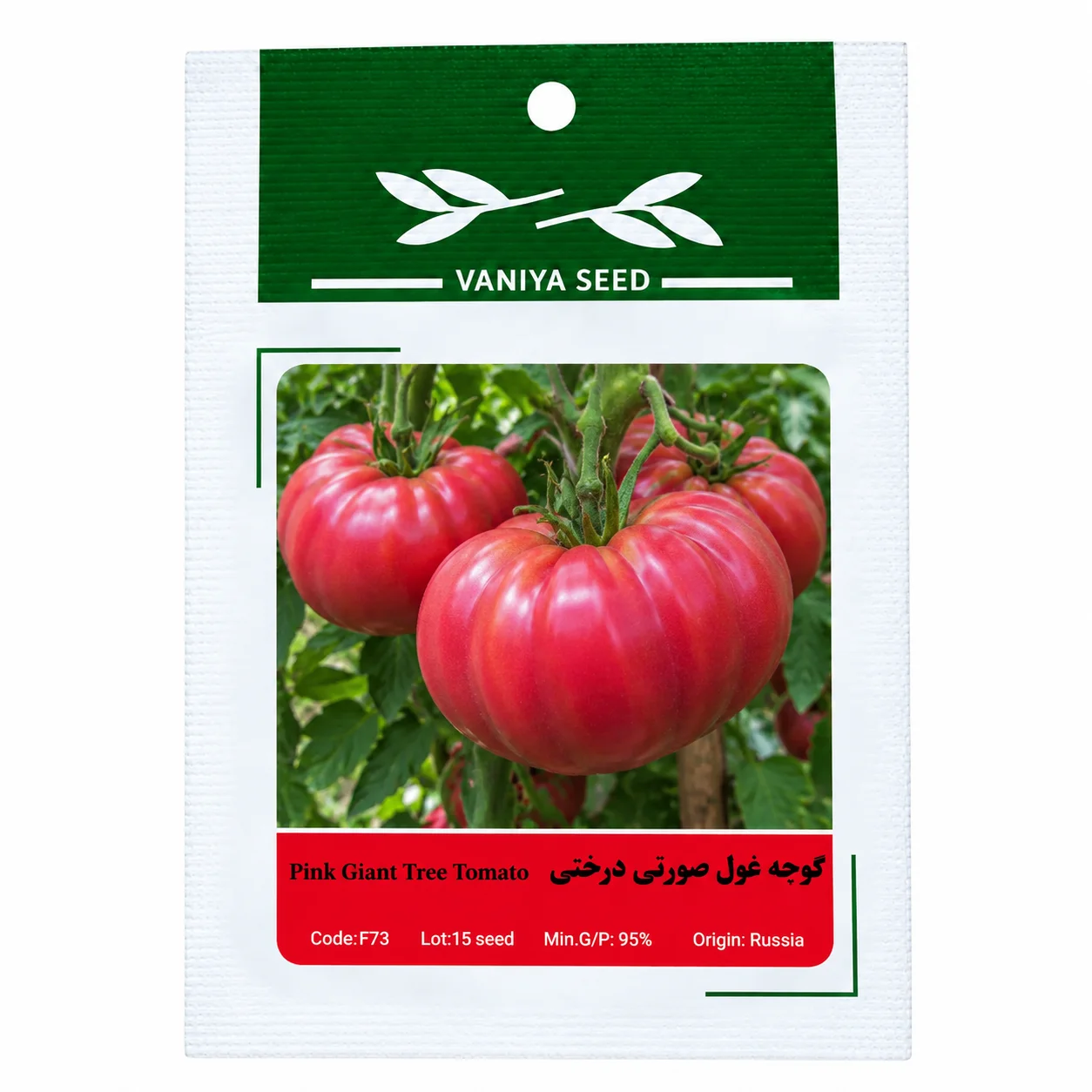 بذر گوجه غول صورتی درختی وانیا