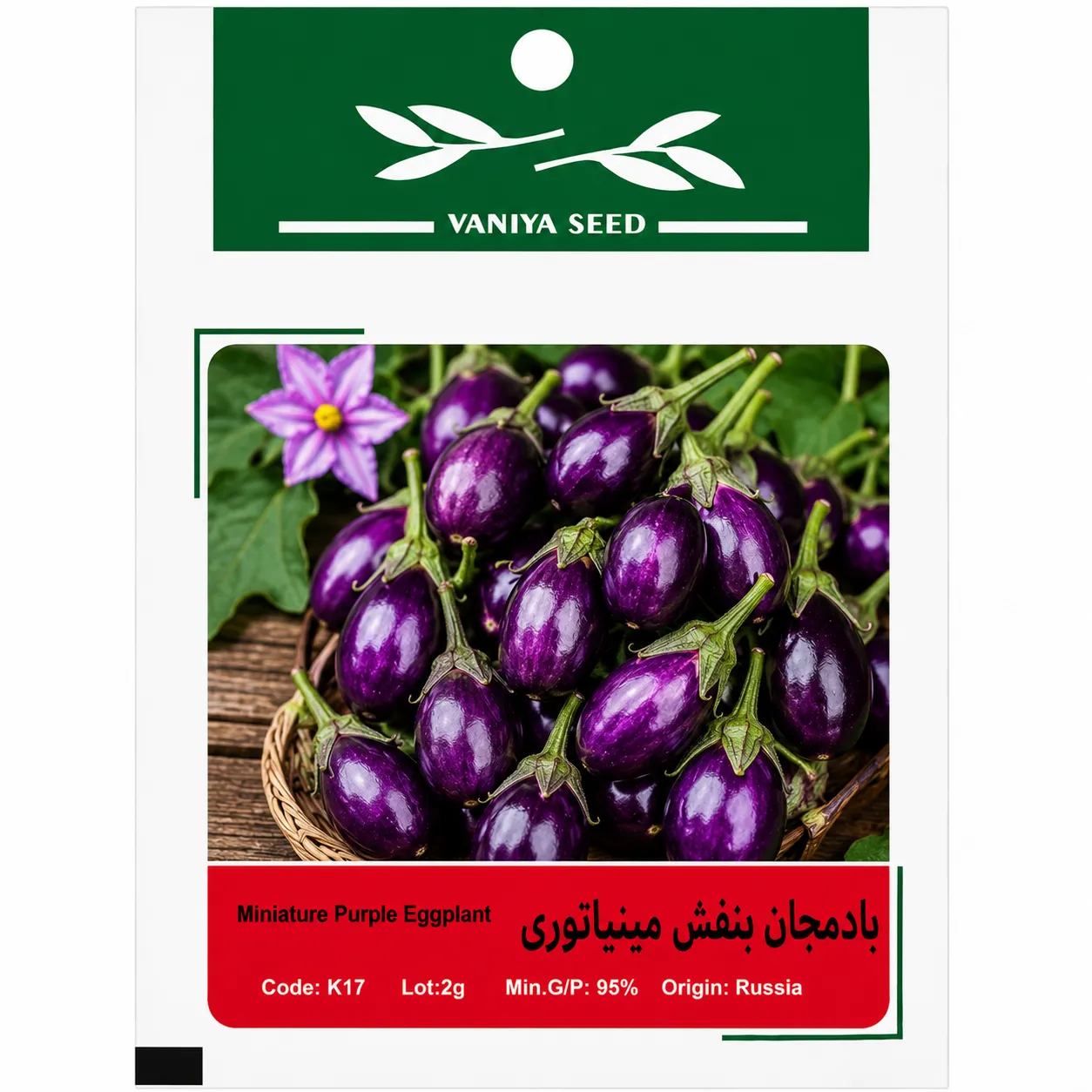 بذر بادمجان بنفش مینیاتوری وانیا