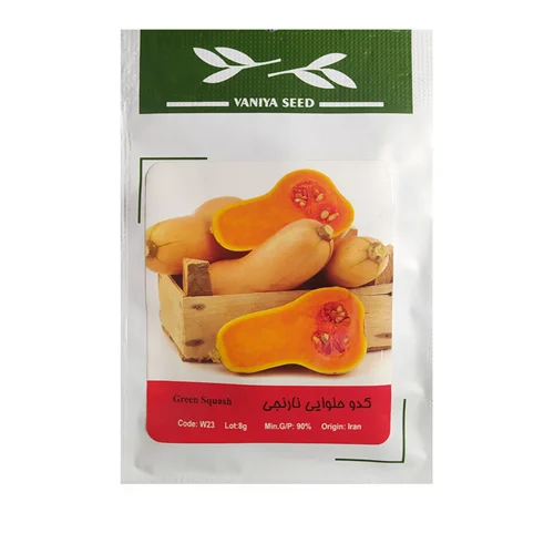بذر کدو حلوایی نارنجی وانیا