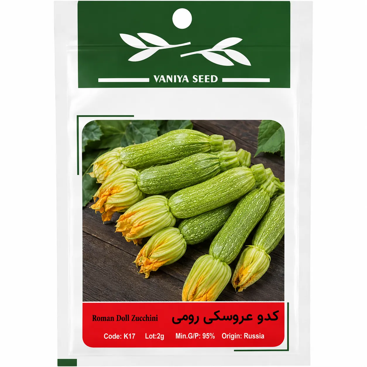 بذر کدو عروسکی رومی وانیا