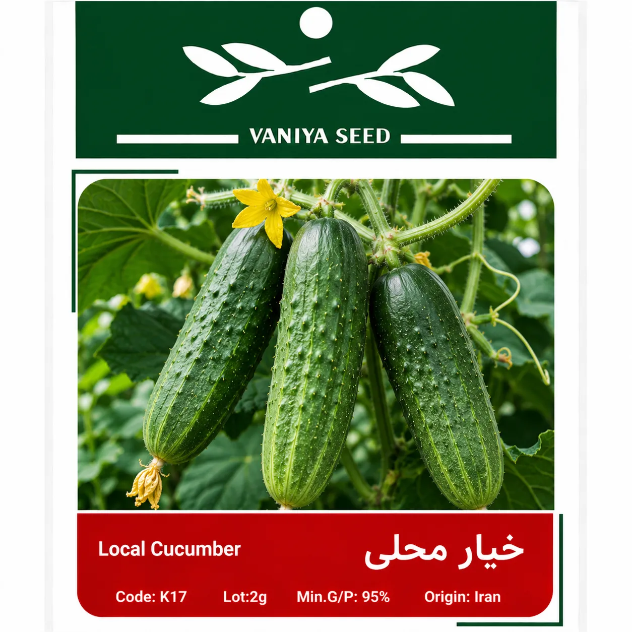 بذر خیار محلی وانیا