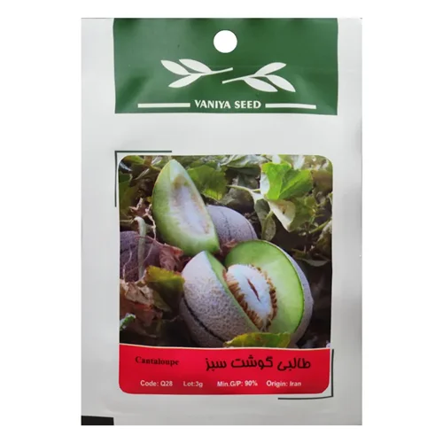 بذر طالبی گوشت سبز وانیا