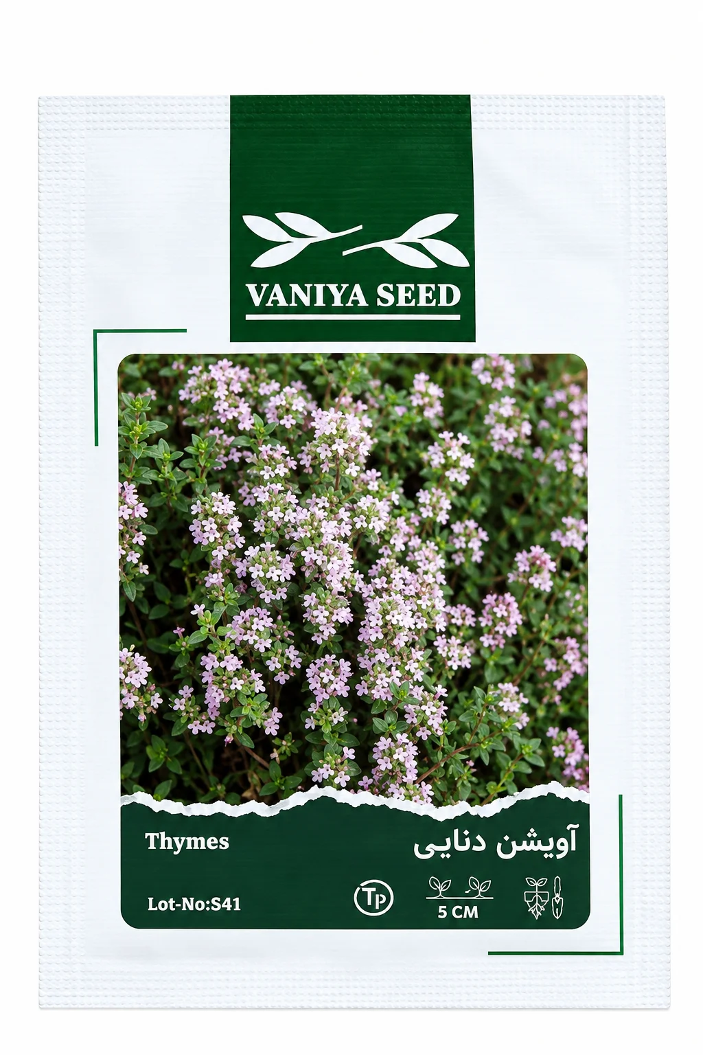 بذر آویشن دنایی وانیا