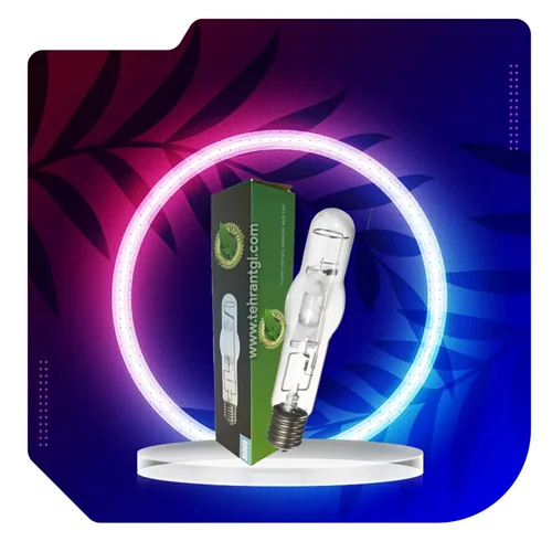 لامپ رشد گیاه دوره رشد 600 وات مجیک پلنت | MagicPlant 600w MH Grow