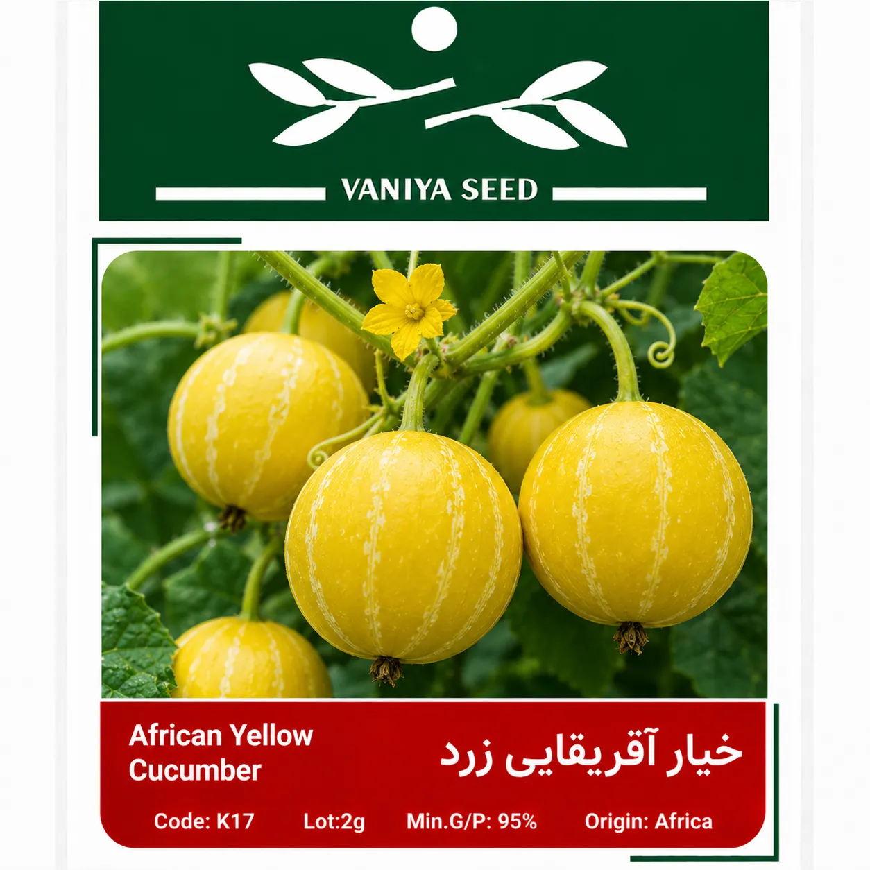 بذر خیار آفریقایی زرد وانیا