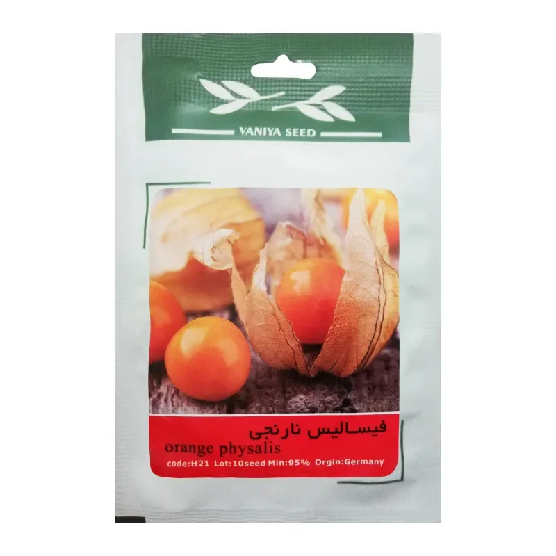 بذر فیسالیس نارنجی وانیا