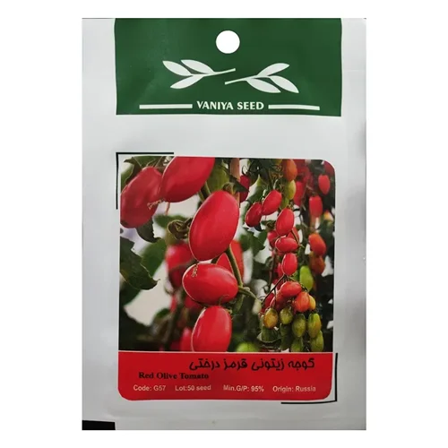 بذر گوجه زیتونی قرمز درختی