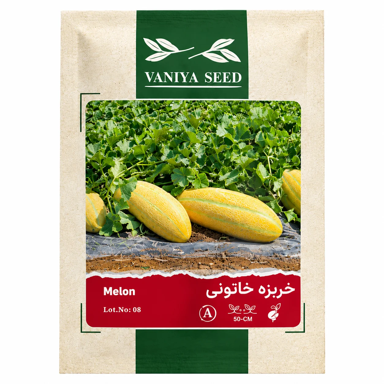 بذر خربزه خاتونی وانیا