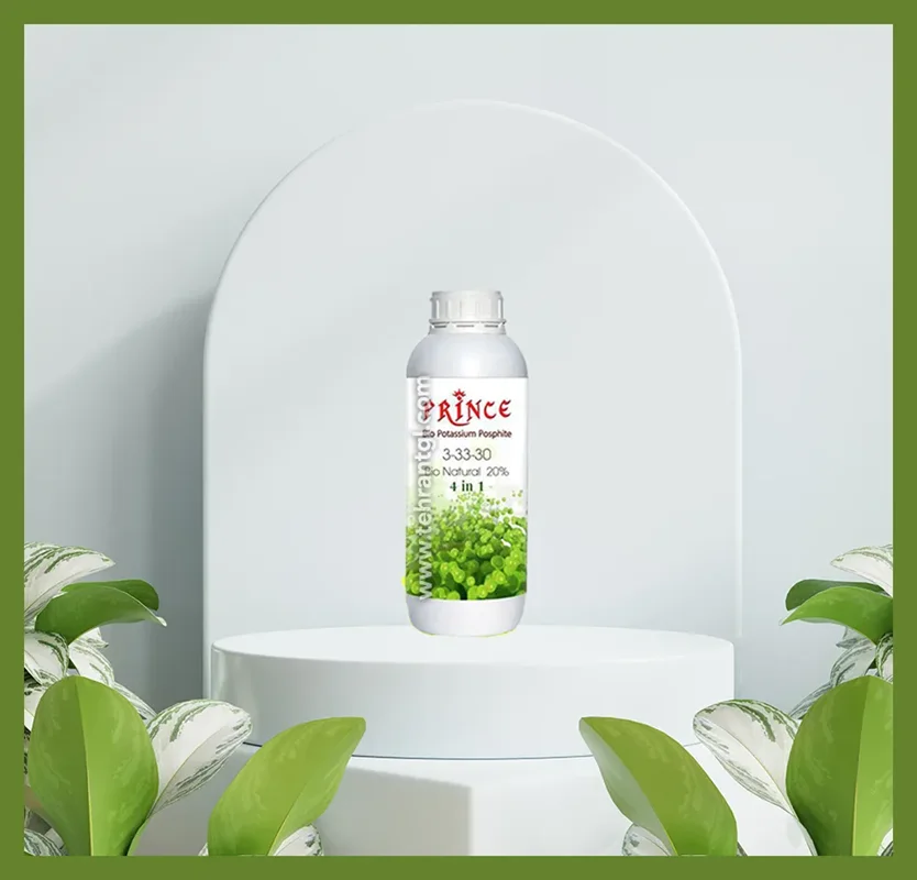 کود پرنس 30-33-3 ایکس گرین حجم 1 لیتر