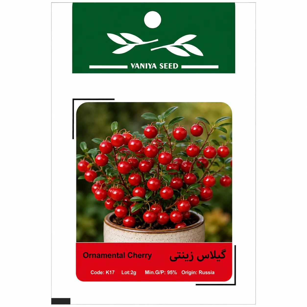 بذر گیلاس زینتی وانیا