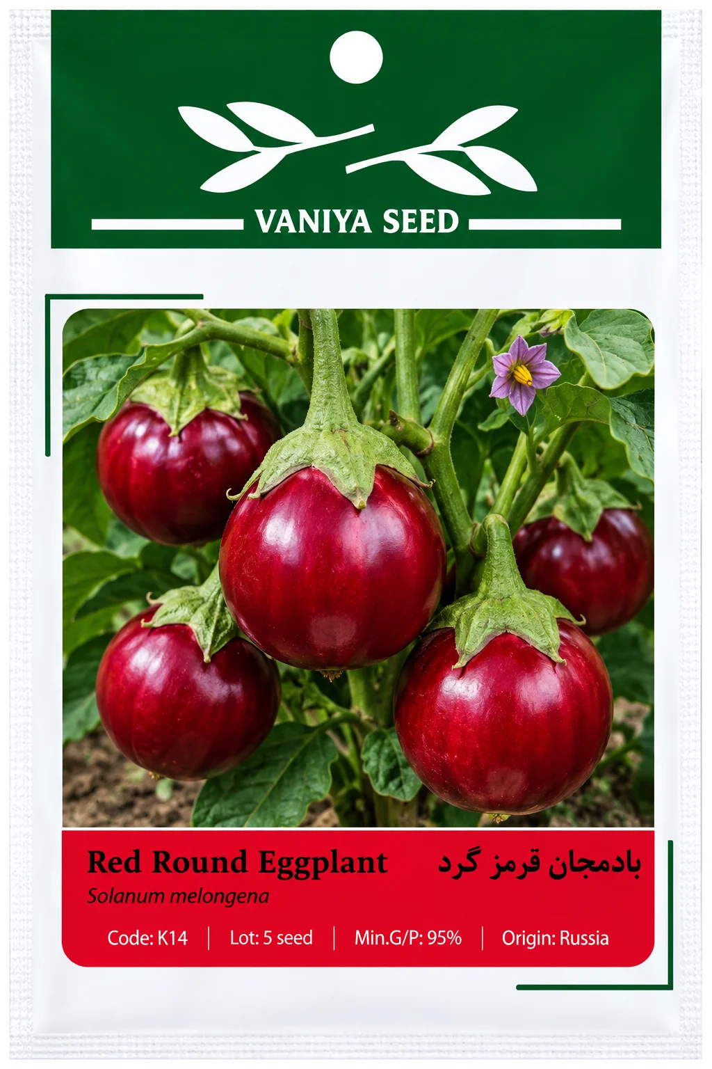 بذر بادمجان قرمز گرد وانیا