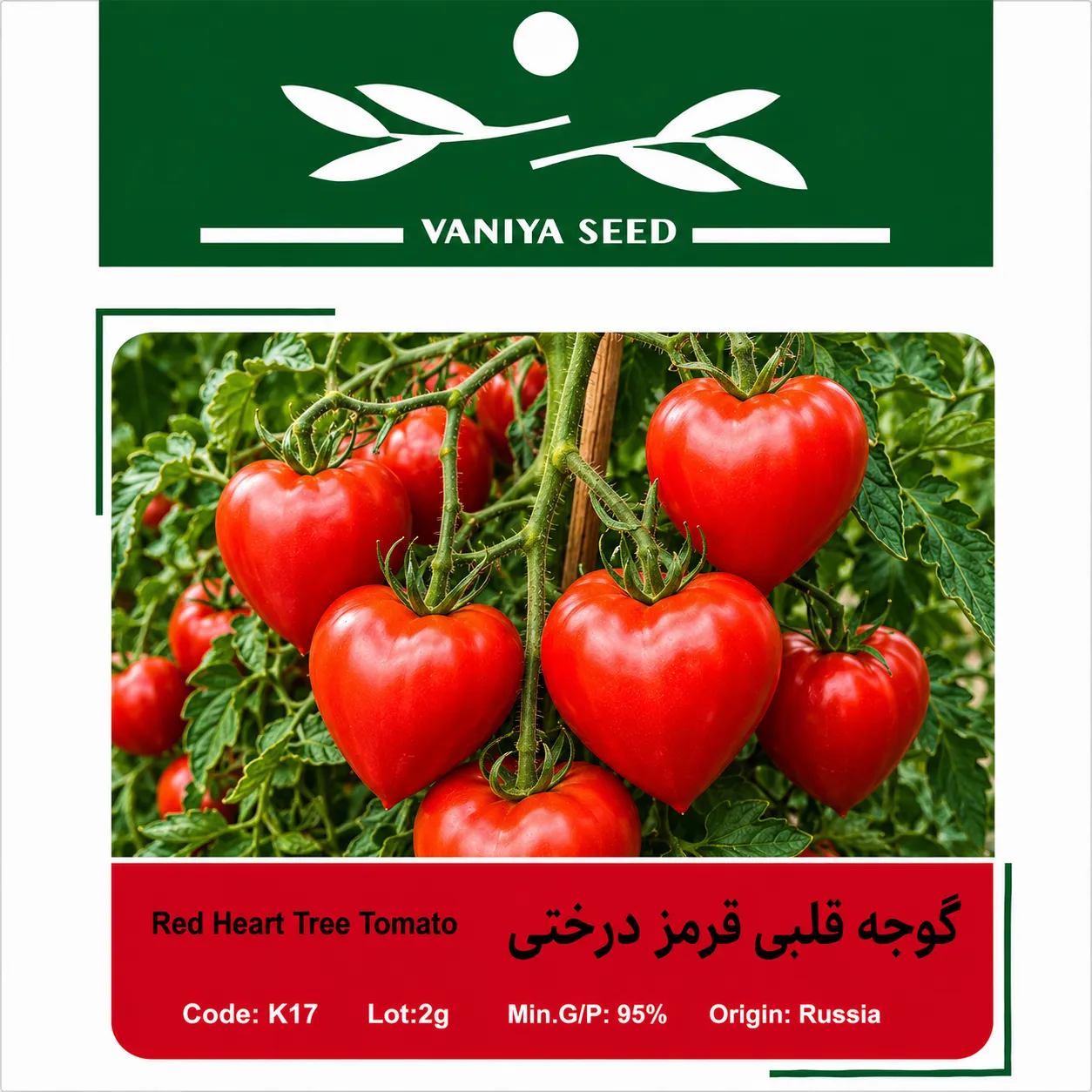 بذر گوجه قلبی قرمز درختی وانیا