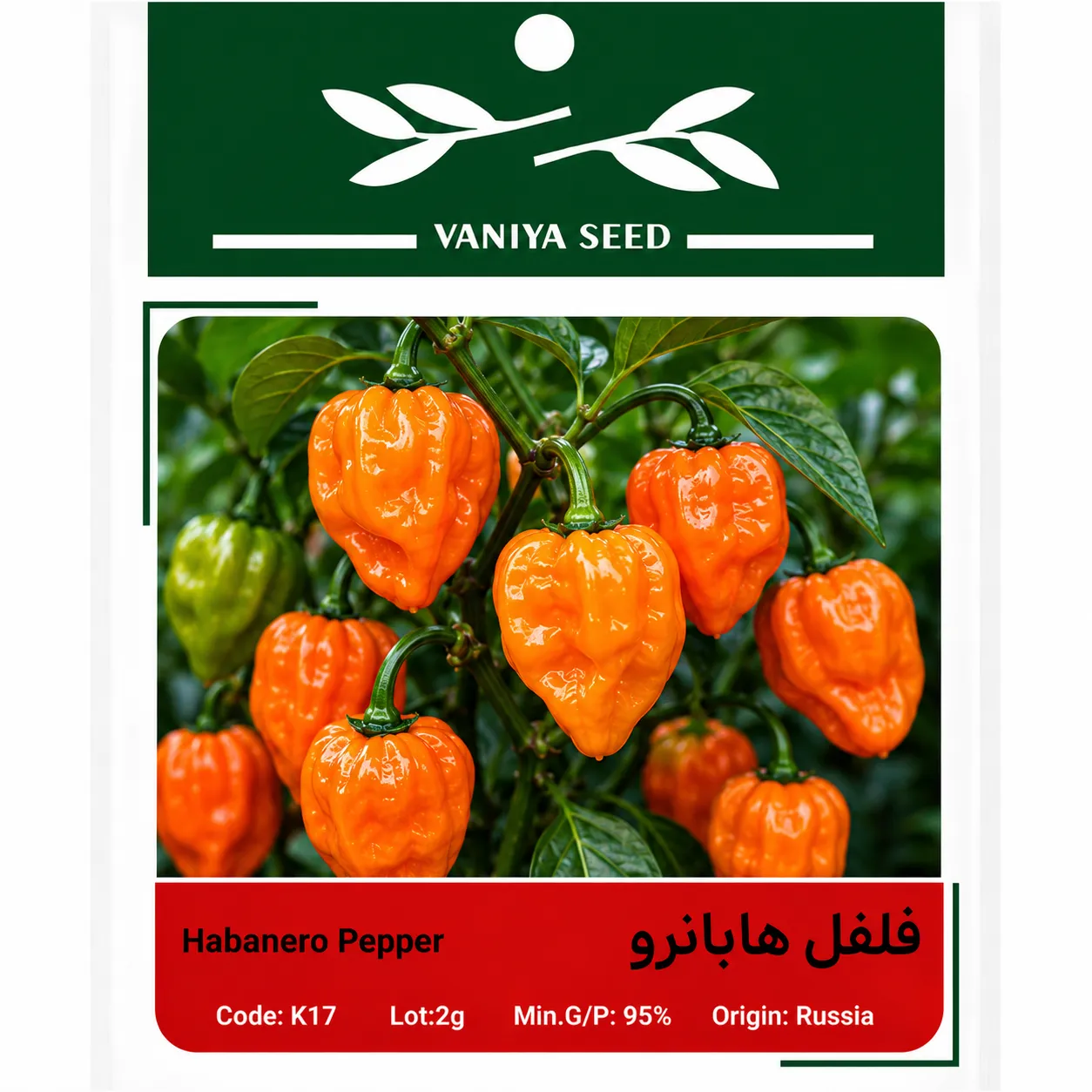 بذر فلفل هابانرو وانیا